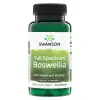 Full Spectrum Boswellia - Double Strength -  60 Caps thumbnail